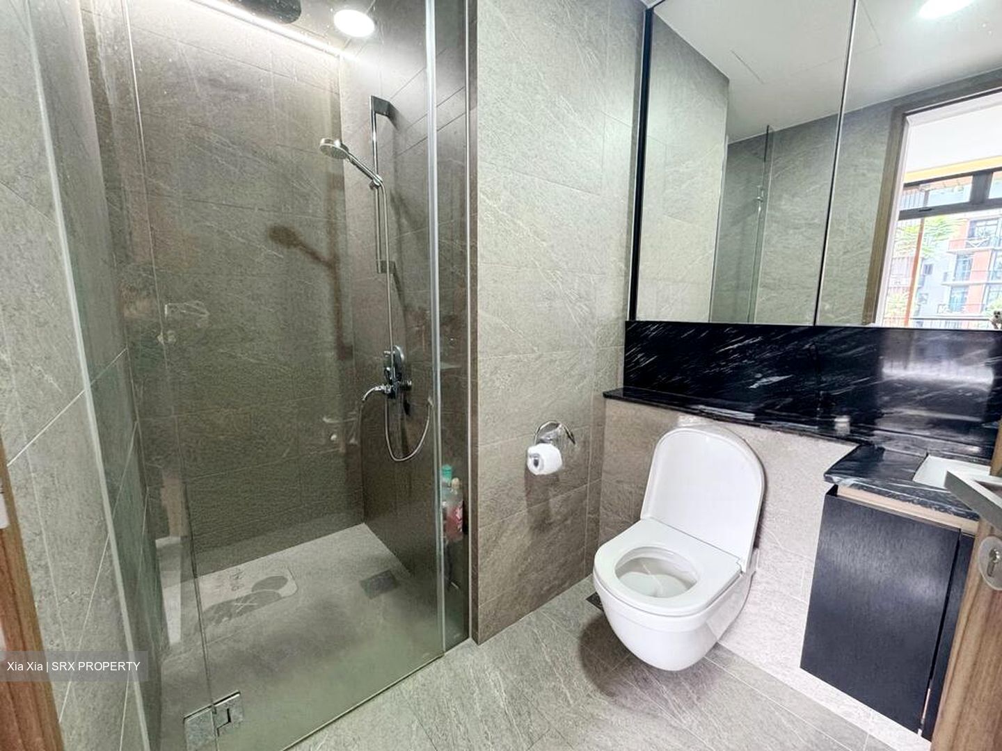 Daintree Residence (D21), Condominium #495675161